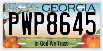 GA license plate PWP8645
