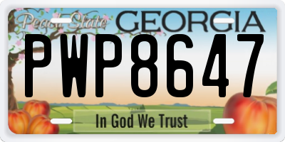 GA license plate PWP8647