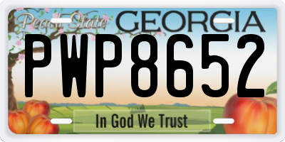 GA license plate PWP8652