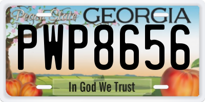 GA license plate PWP8656