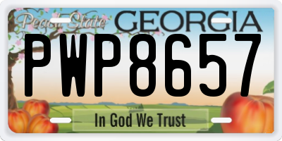 GA license plate PWP8657