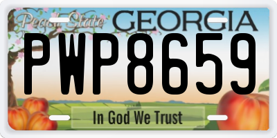 GA license plate PWP8659