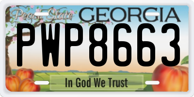 GA license plate PWP8663