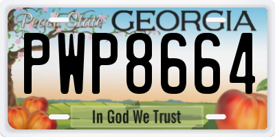 GA license plate PWP8664