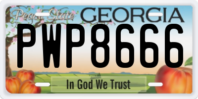 GA license plate PWP8666