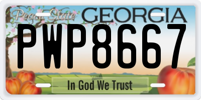 GA license plate PWP8667