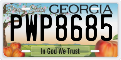 GA license plate PWP8685