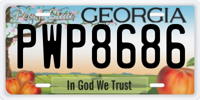 GA license plate PWP8686