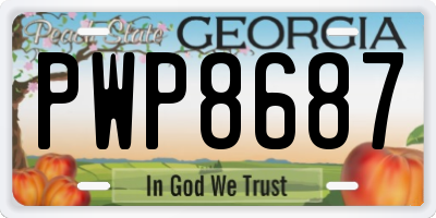 GA license plate PWP8687