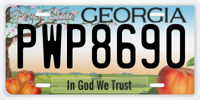 GA license plate PWP8690
