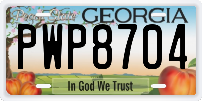GA license plate PWP8704