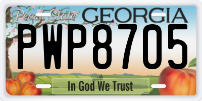 GA license plate PWP8705