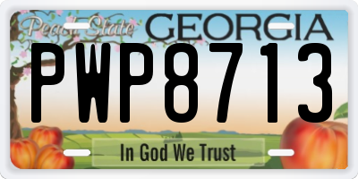 GA license plate PWP8713