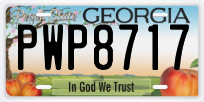 GA license plate PWP8717