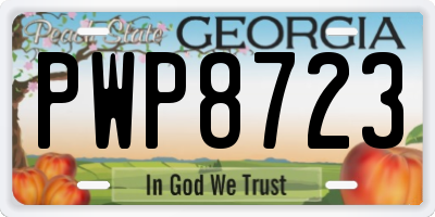 GA license plate PWP8723