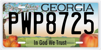 GA license plate PWP8725