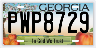 GA license plate PWP8729