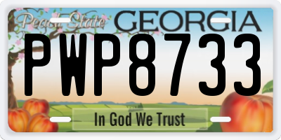 GA license plate PWP8733