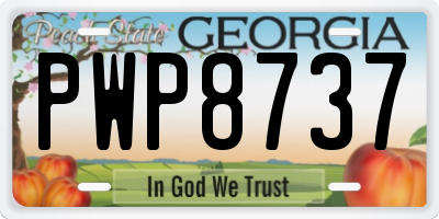 GA license plate PWP8737