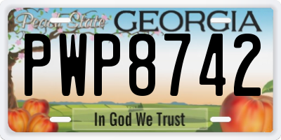 GA license plate PWP8742