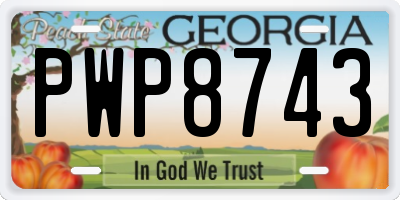 GA license plate PWP8743
