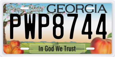 GA license plate PWP8744