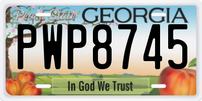 GA license plate PWP8745
