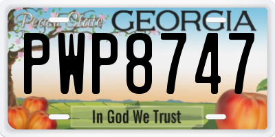 GA license plate PWP8747
