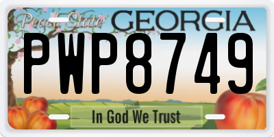 GA license plate PWP8749