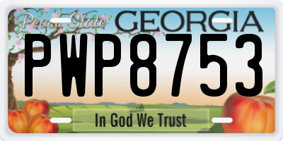 GA license plate PWP8753
