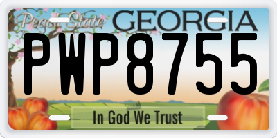GA license plate PWP8755