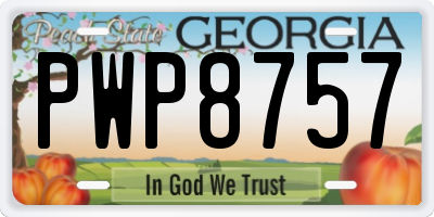 GA license plate PWP8757