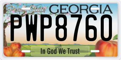 GA license plate PWP8760