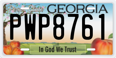 GA license plate PWP8761