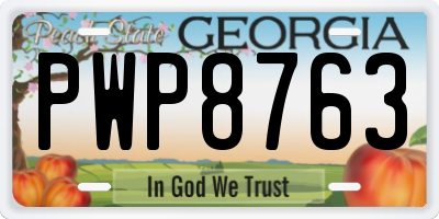 GA license plate PWP8763