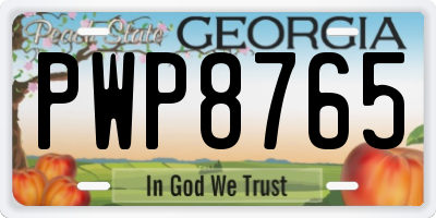 GA license plate PWP8765
