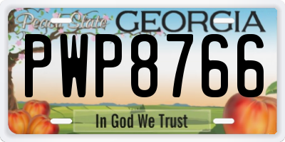 GA license plate PWP8766