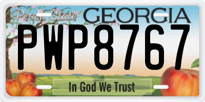 GA license plate PWP8767