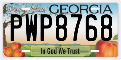 GA license plate PWP8768