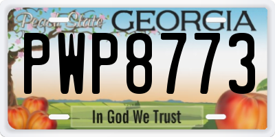 GA license plate PWP8773
