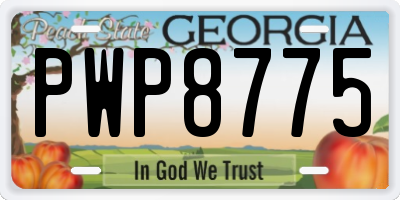 GA license plate PWP8775