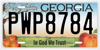 GA license plate PWP8784