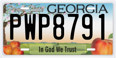 GA license plate PWP8791