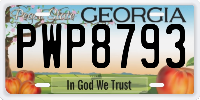 GA license plate PWP8793