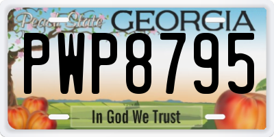 GA license plate PWP8795