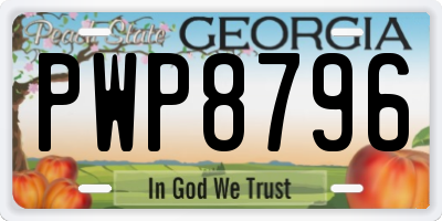 GA license plate PWP8796