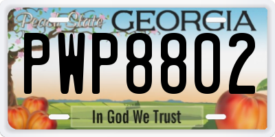 GA license plate PWP8802
