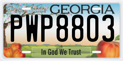 GA license plate PWP8803