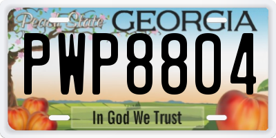 GA license plate PWP8804