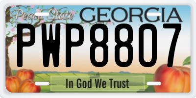 GA license plate PWP8807